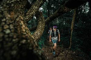 BIB: 
                            <button type="button" onclick="openModal(25694172)" class="btn btn-primary btn-sm float-right btn-popup" data-toggle="modal" data-target=".modal-high-quality">
                        <i class="fas fa-shopping-cart"></i> Add to Cart
                    </button>
                                            <button type="button" onclick="isThisMe(25694172, true)" class="btn btn-success btn-sm float-right btn-popup btn-isme hidden" data-toggle="tooltip" data-placement="bottom" title="นี่คือรูปของคุณใช่ไหม คลิกที่นี่เพื่อเอาเข้าอัลบั้ม">
                        <i class="fas fa-plus"></i> Add to album
                    </button>
                    <button type="button" onclick="isThisMe(25694172, false)" class="btn btn-warning btn-sm float-right btn-popup btn-isnotme hidden">
                        <i class="fas fa-ban"></i> Remove from album
                    </button>